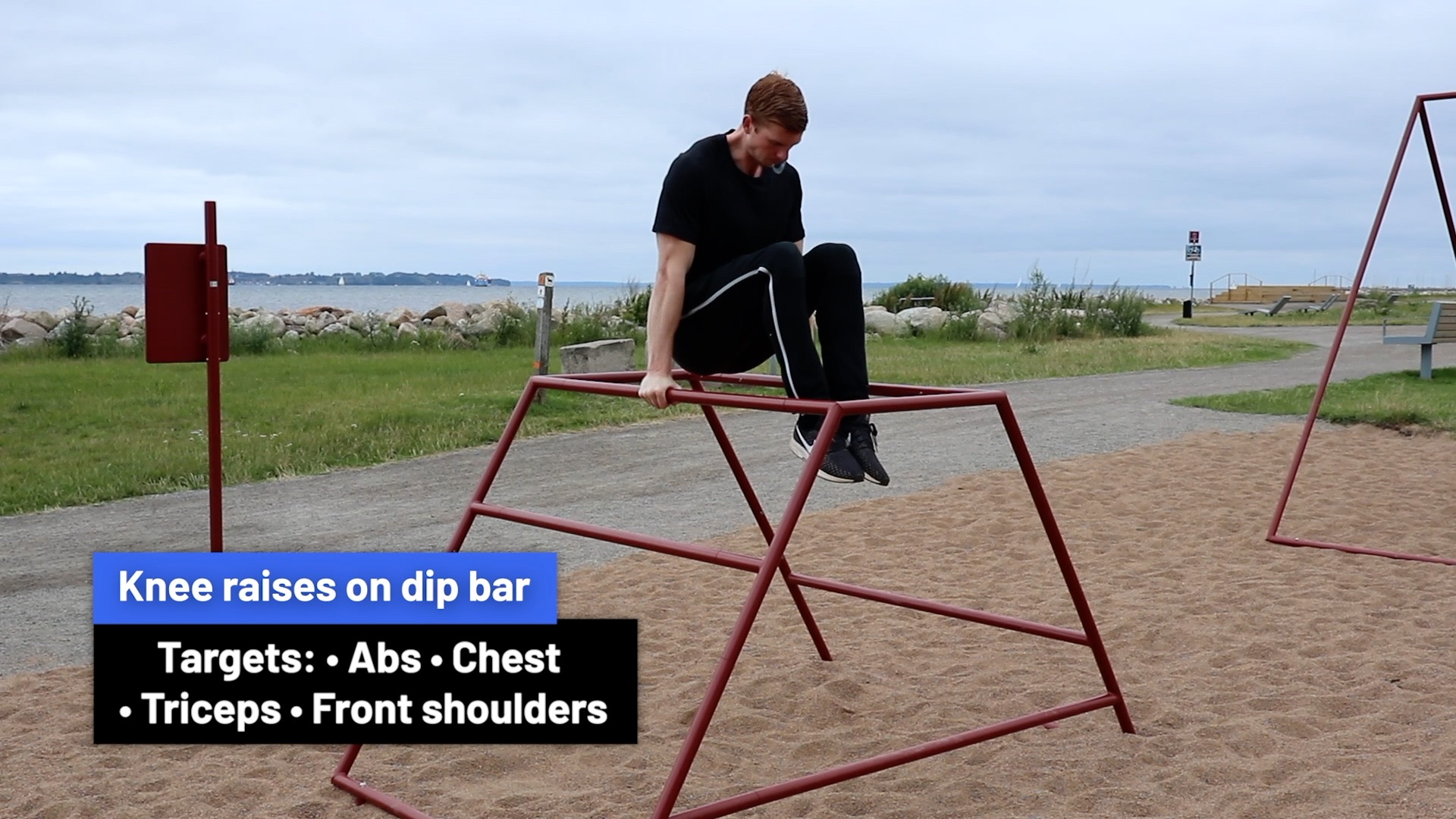 Knee raises on dip bar Exercise Abs/Core